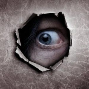 Meet your Posher, Albert